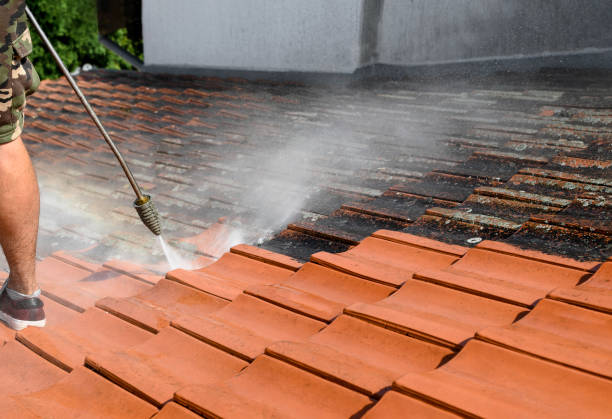 Best Pressure Washing Company Near Me  in Lincoln Park, NJ